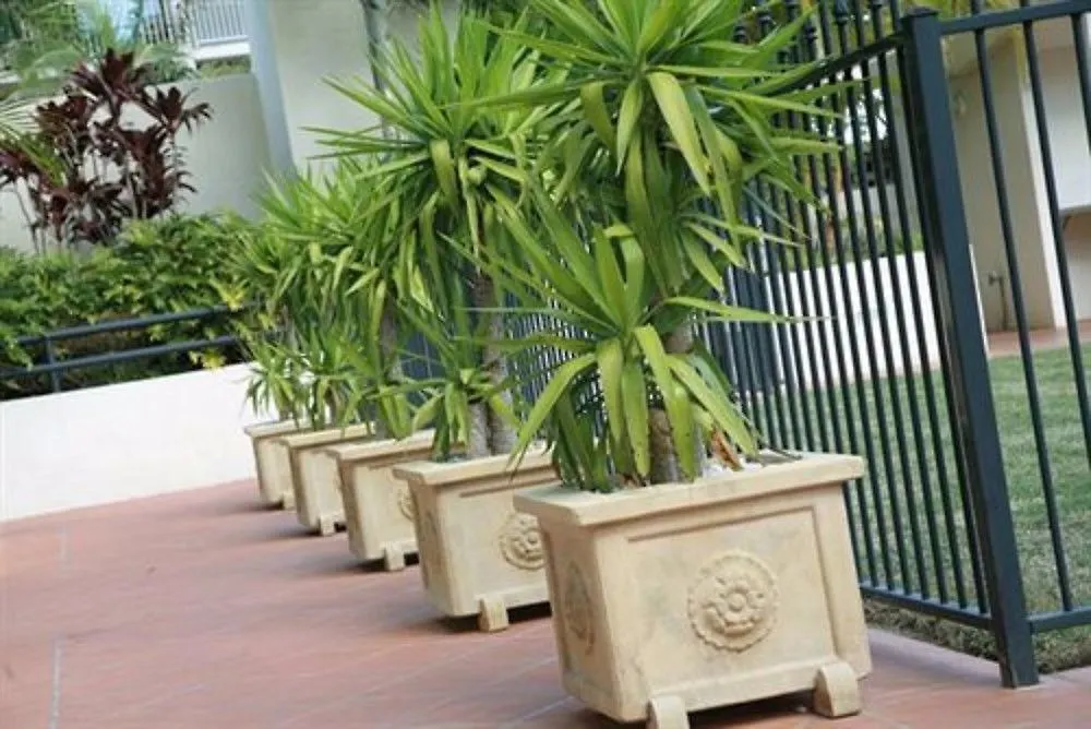 Palazzo Colonnades Aparthotel Gold Coast